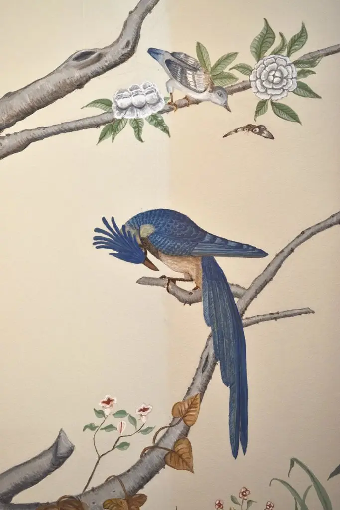 Bird on Tree